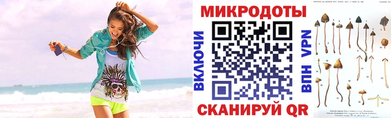 Псилоцибиновые грибы мухоморы купить наркотик Старица